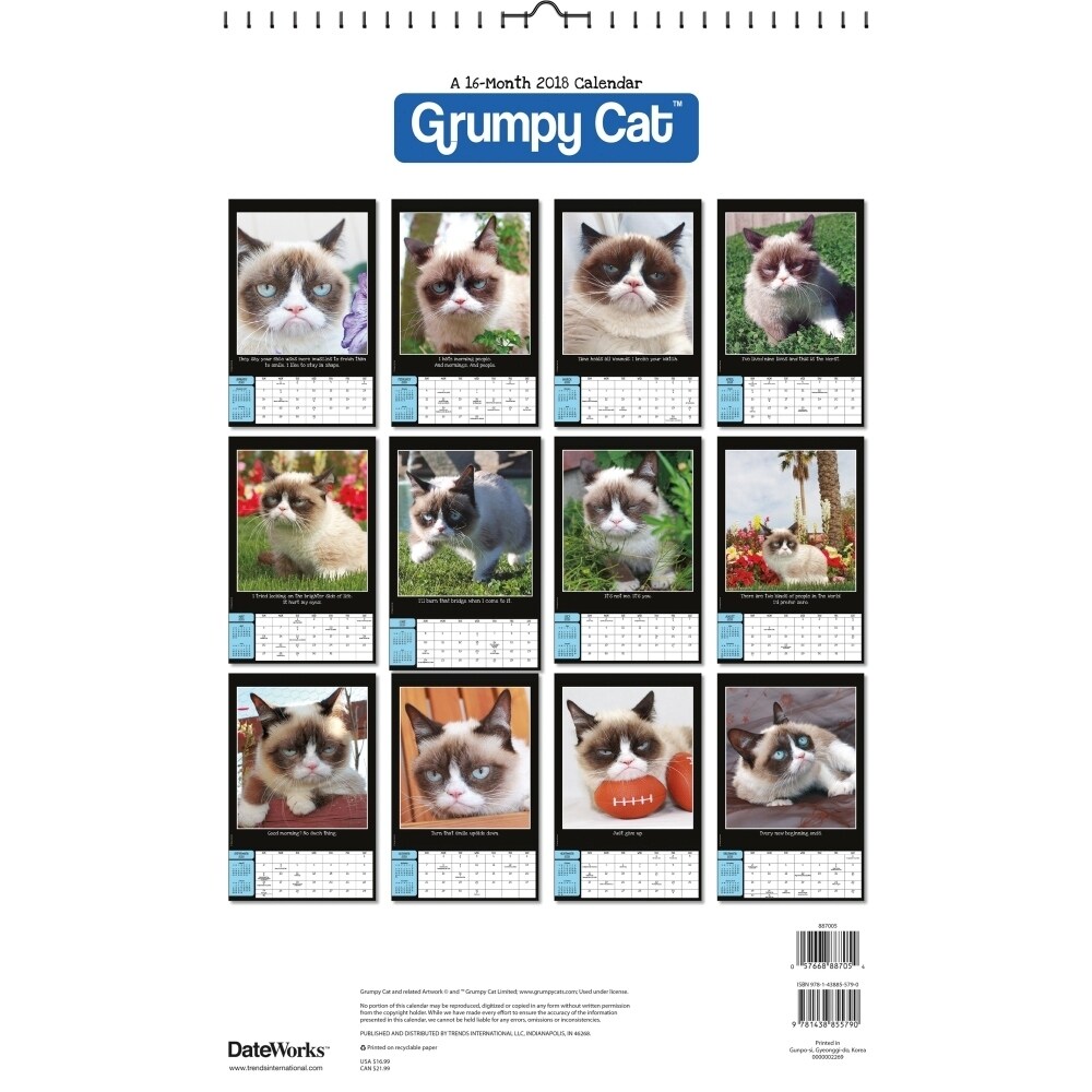 Shop Grumpy Cat 2018 Oversized Wall Calendar Overstock 18144205