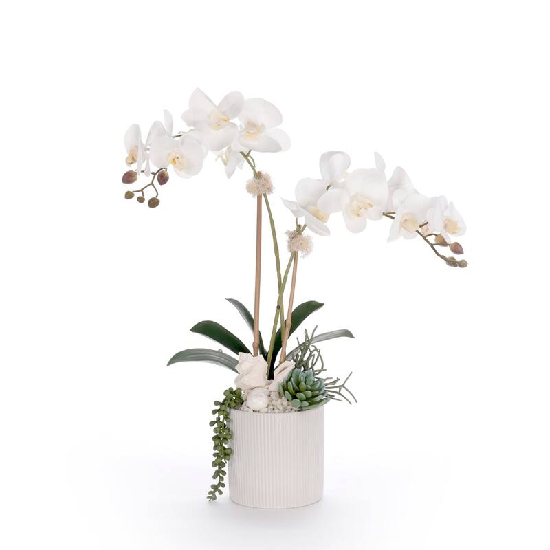 Real Touch White Orchid Flower Arrangement in White Pot