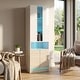 preview thumbnail 5 of 6, Meble Furniture Disparo 01 Tall LED Bookcase with 9 Shelves & 16-Color Lighting, 22W x 15.7D x 70.9H inches, High Gloss & Matte