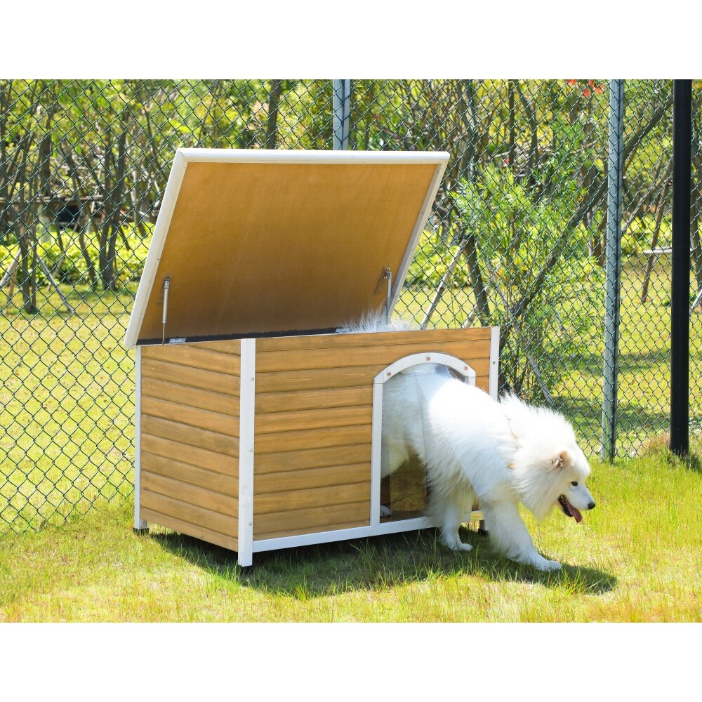 Outdoor dog kennel house clearance