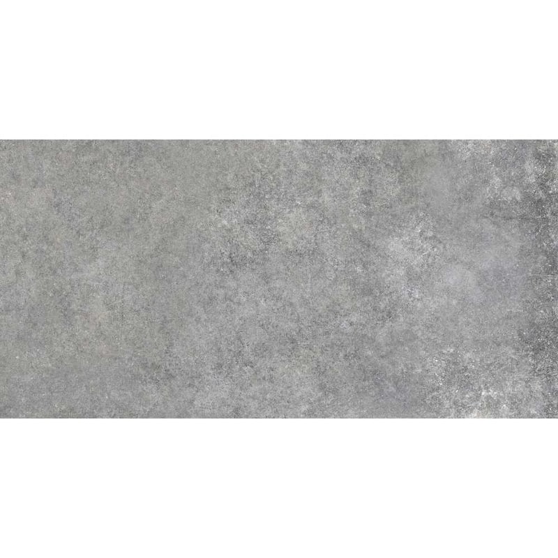 The Wilds 12x24 Matte Stone Look Porcelain Tile - Floor & Wall - Large Format