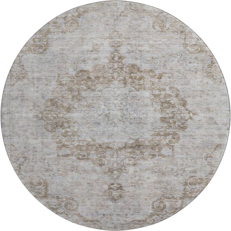 Premium Washable Super Soft Vintage Traditional Mayfield Rug