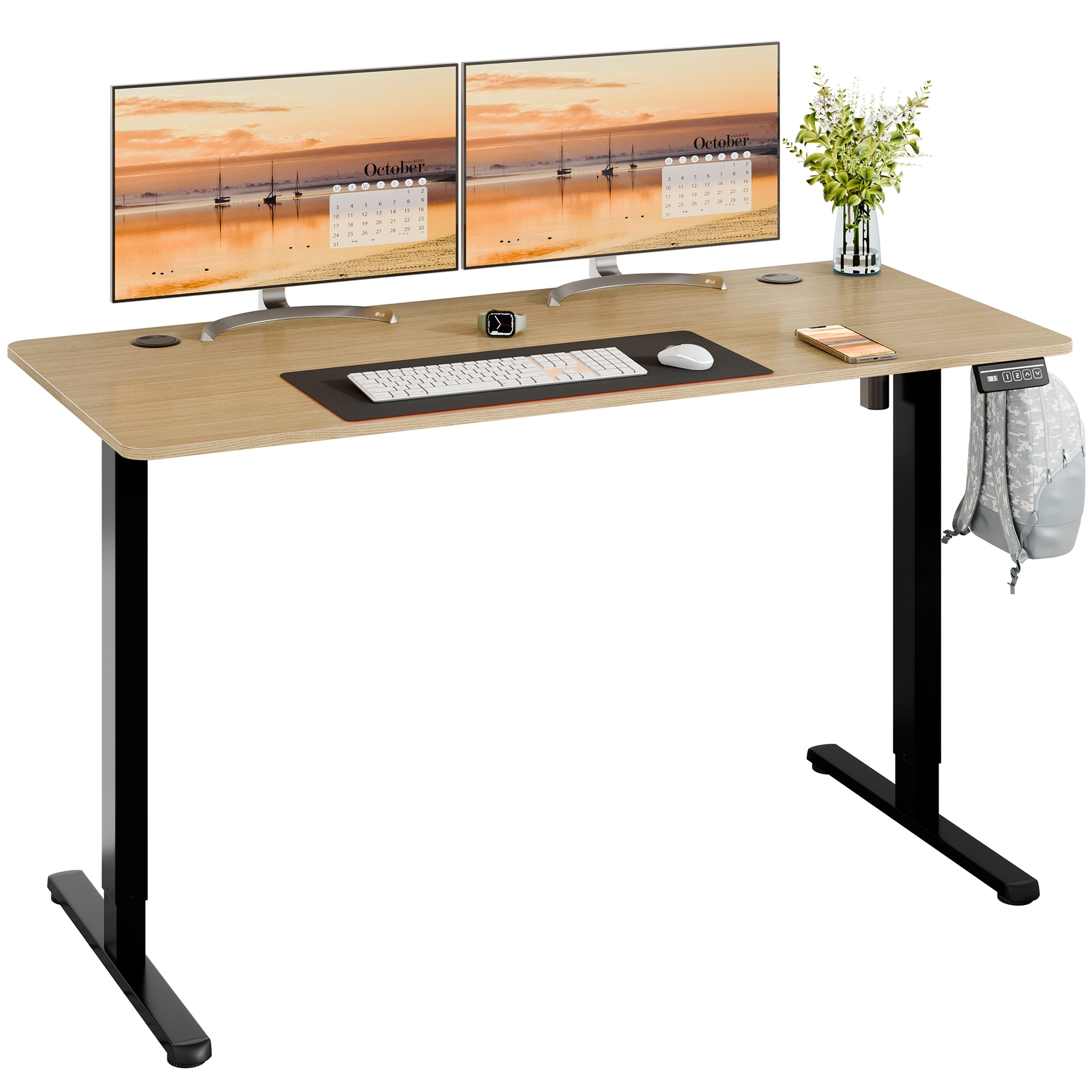 Futzca Height Adjustable Electric Standing Desk, Computer Office Desk