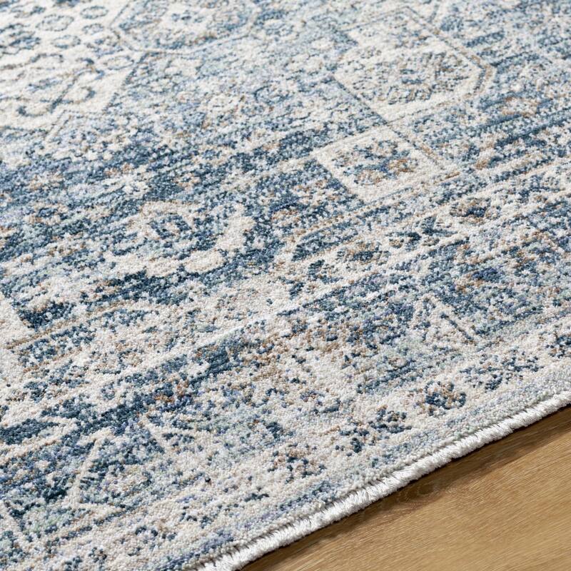 Cutler Traditional Medallion Area Rug