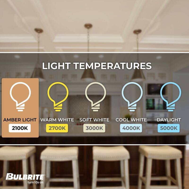 Bulbrite Pack of (4) Dimmable Antique Nostalgic Filament Incandescent Bulb