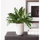 preview thumbnail 4 of 3, Uttermost 60229 Verdure Fern 16-1/4" Tall Ceramic Faux Flora Planter - Tan