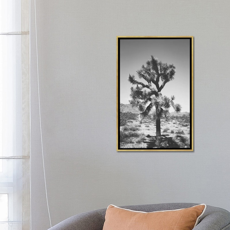 iCanvas "Joshua Tree I" by Ann Hudec Framed Canvas Print