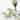 Stone Lain Delilah Porcelain Organic Shape Bowl Set, 6-Pieces