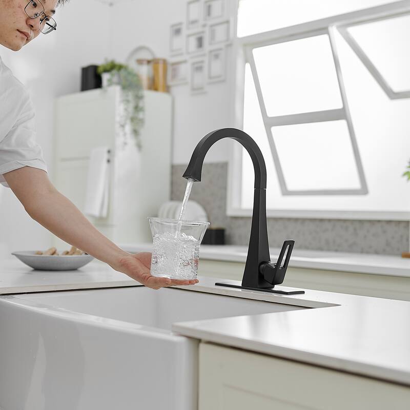 WIZ Single Handle Standard Kitchen Faucet