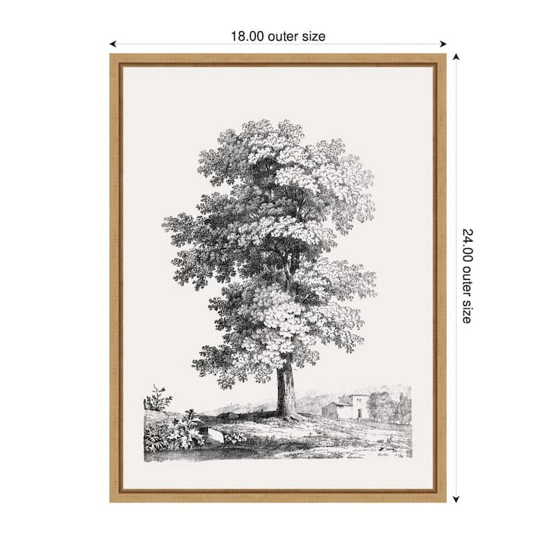 Kate and Laurel Sylvie Jean Victor Bertin Study of a Tree 1816 Framed Canvas by The Art Institute of Chicago