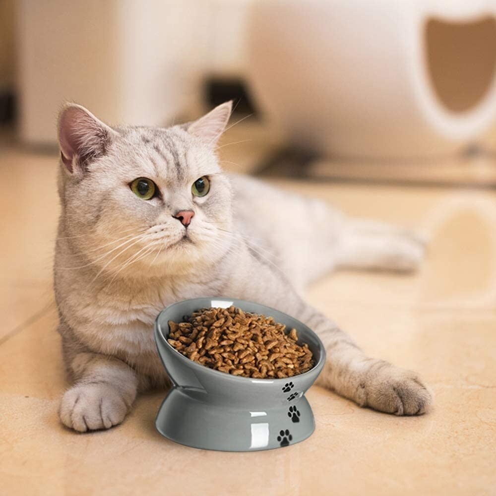 【並行輸入品】 Aivituvin Elevated cat Bowls  15°Tilted Raised Cat Food Bowl  Walnu