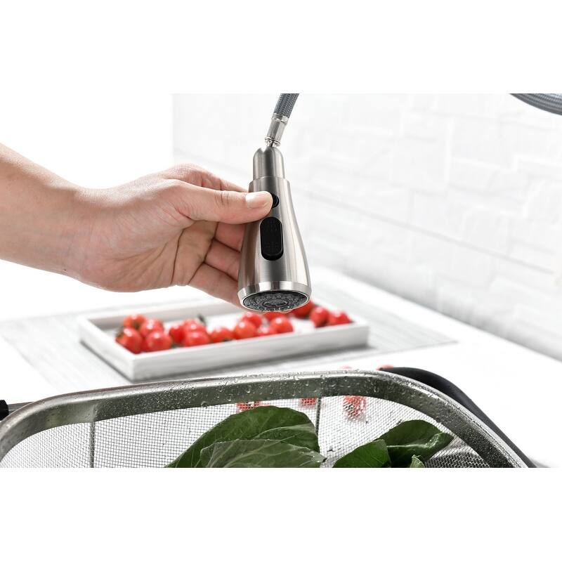 Single Handle High Arc Brushed Nickel Pull-Out Kitchen Faucet-360° Swivel