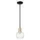 Option Black Antique Brass / Seedy