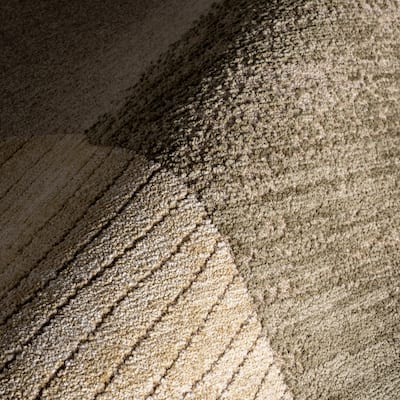 Faela Abstract Fringe Area Rug