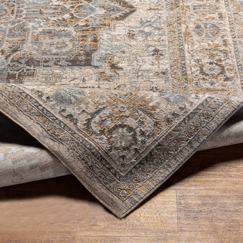 Artistic Weavers Ryla Vintage Distressed Area Rug