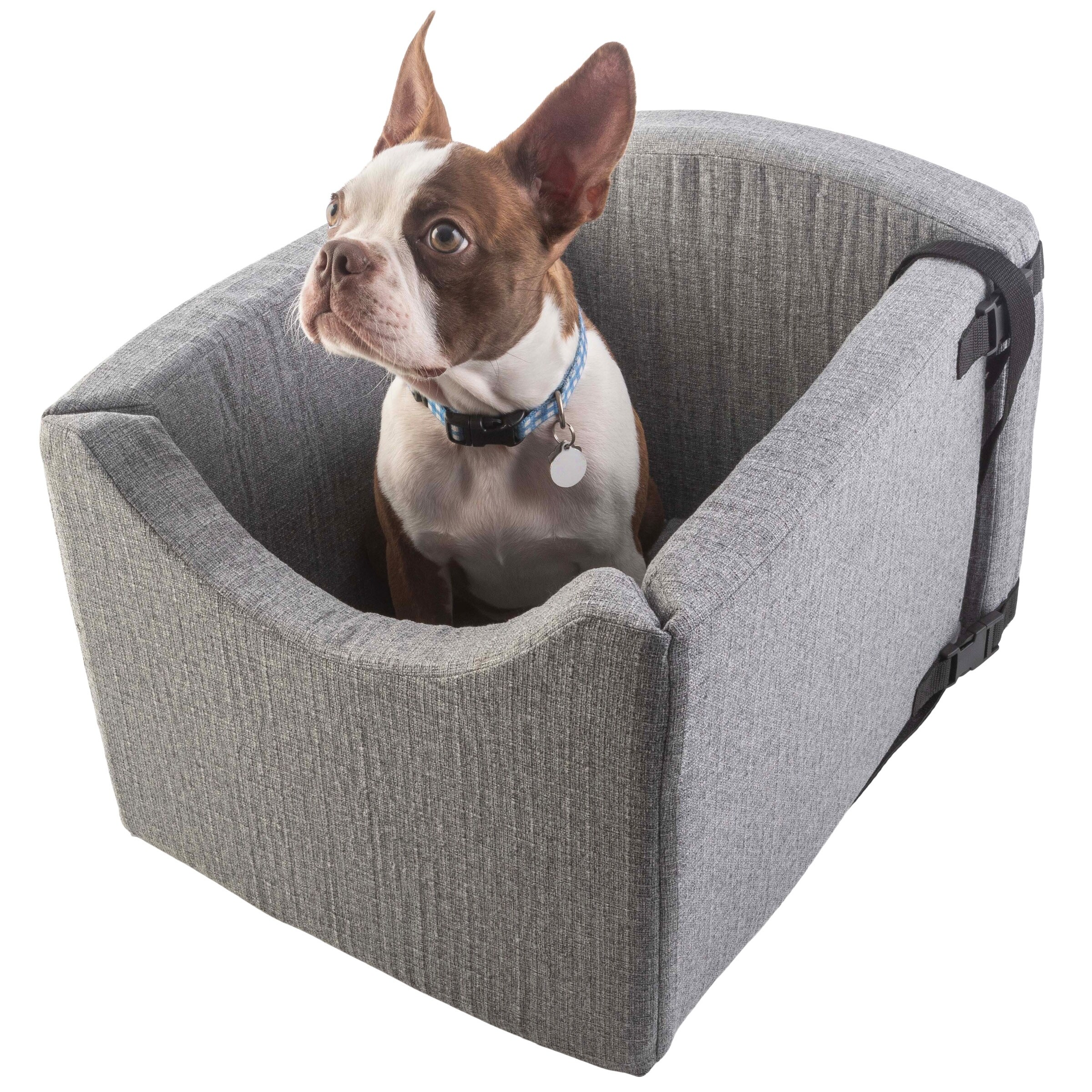 Bed bath and sales beyond dog car seat