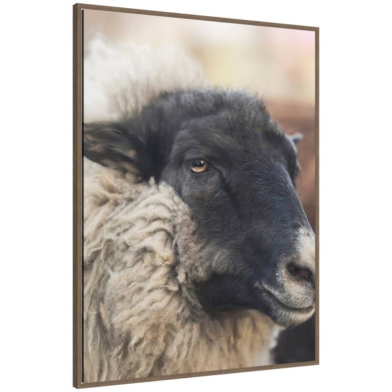 Kate and Laurel Edward Close Up by Emiko and Mark Franzen F2 Images Framed Canvas Wall Art Print - 32 x 42