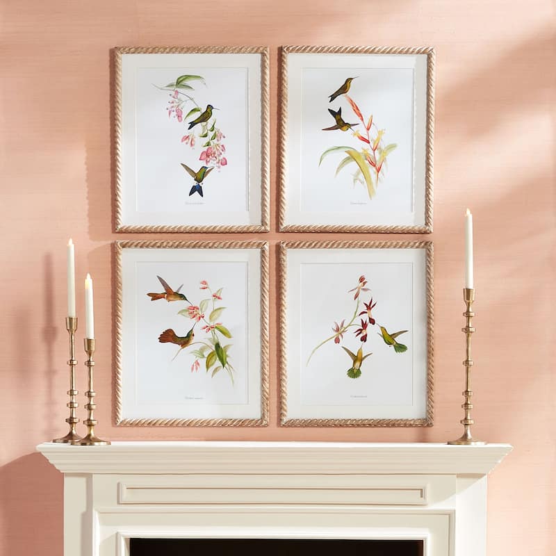 Playful Hummingbird Prints