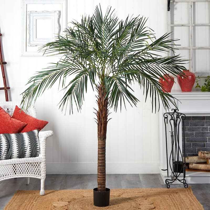 6Ft Robellini Palm Tree Indoor - Tropical Decor Plant 50"x50"x72" - Home Office Living Room Accent - 6ft.
