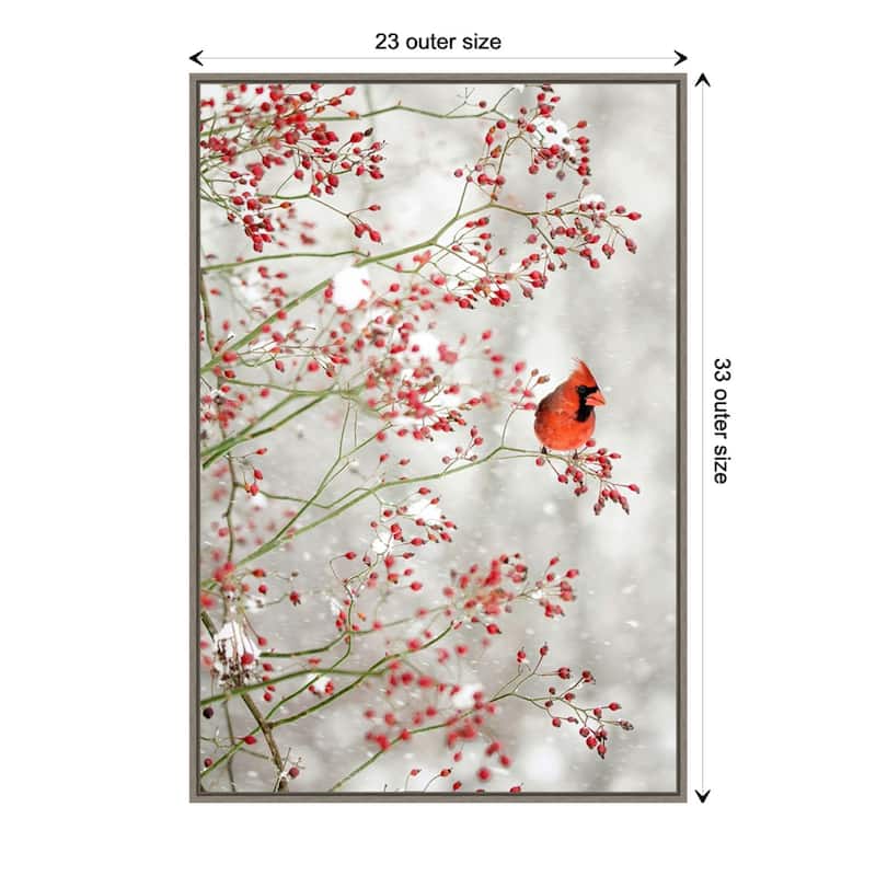 Red Cardinal and Red Berries by Carrie Ann Grippo-pike Framed Canvas Wall Art Print - Grey - Plastic - 23 x 33 in