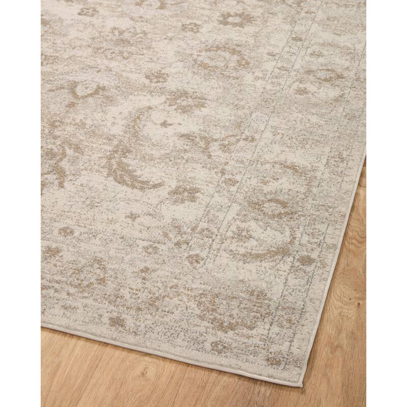 Alexander Home Colette Vintage Whimsical Area Rug