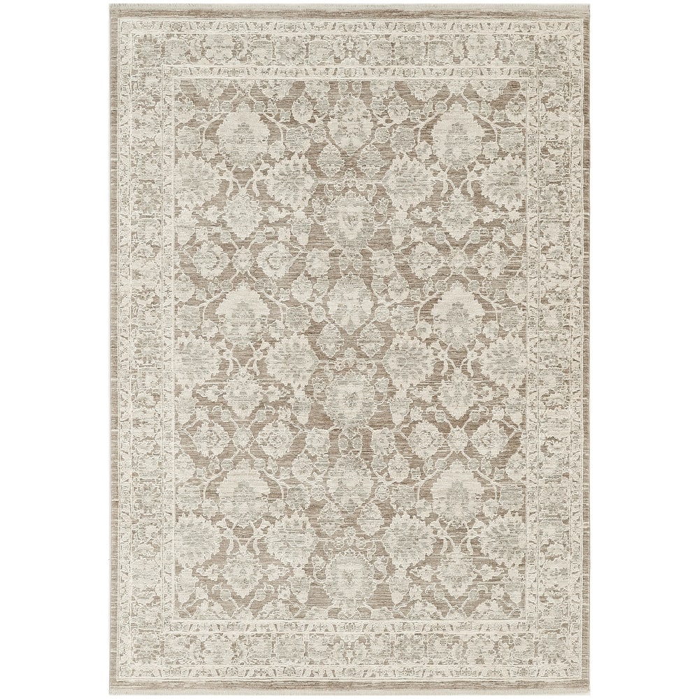Nourison Shadows Indoor only Persian Area Rug