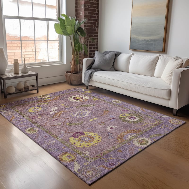 Machine Washable Indoor/ Outdoor Traditional Boho Chantille Rug