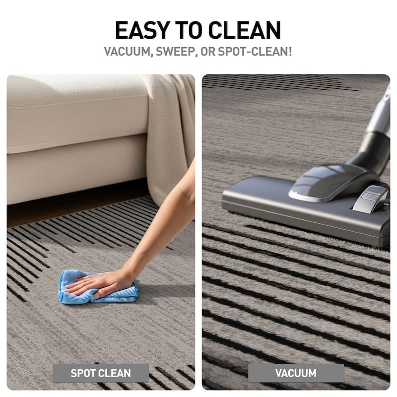 Bohemian Stripe Area Rug