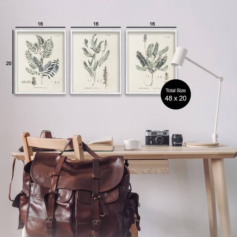 Stupell Green Botanical Latin Study Vintage Herb Motif Diagram Framed Wall Art - Beige