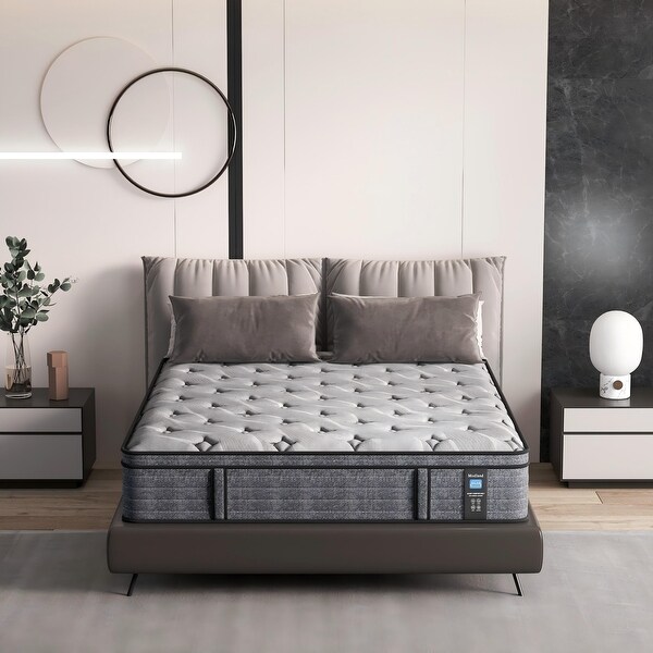 Modland 14'' Queen Hybrid Memory Foam Mattress in a Box - Pressure