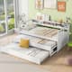Option White