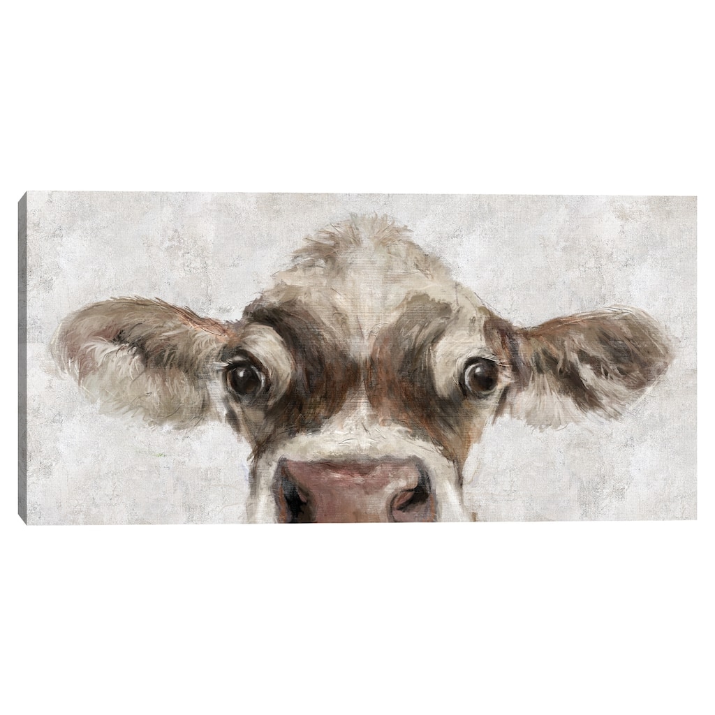 Cow Peek Canvas Art Print