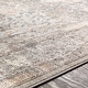 preview thumbnail 4 of 8, Margarethe Grey Traditional Area Rug - 7'10" x 10'3"