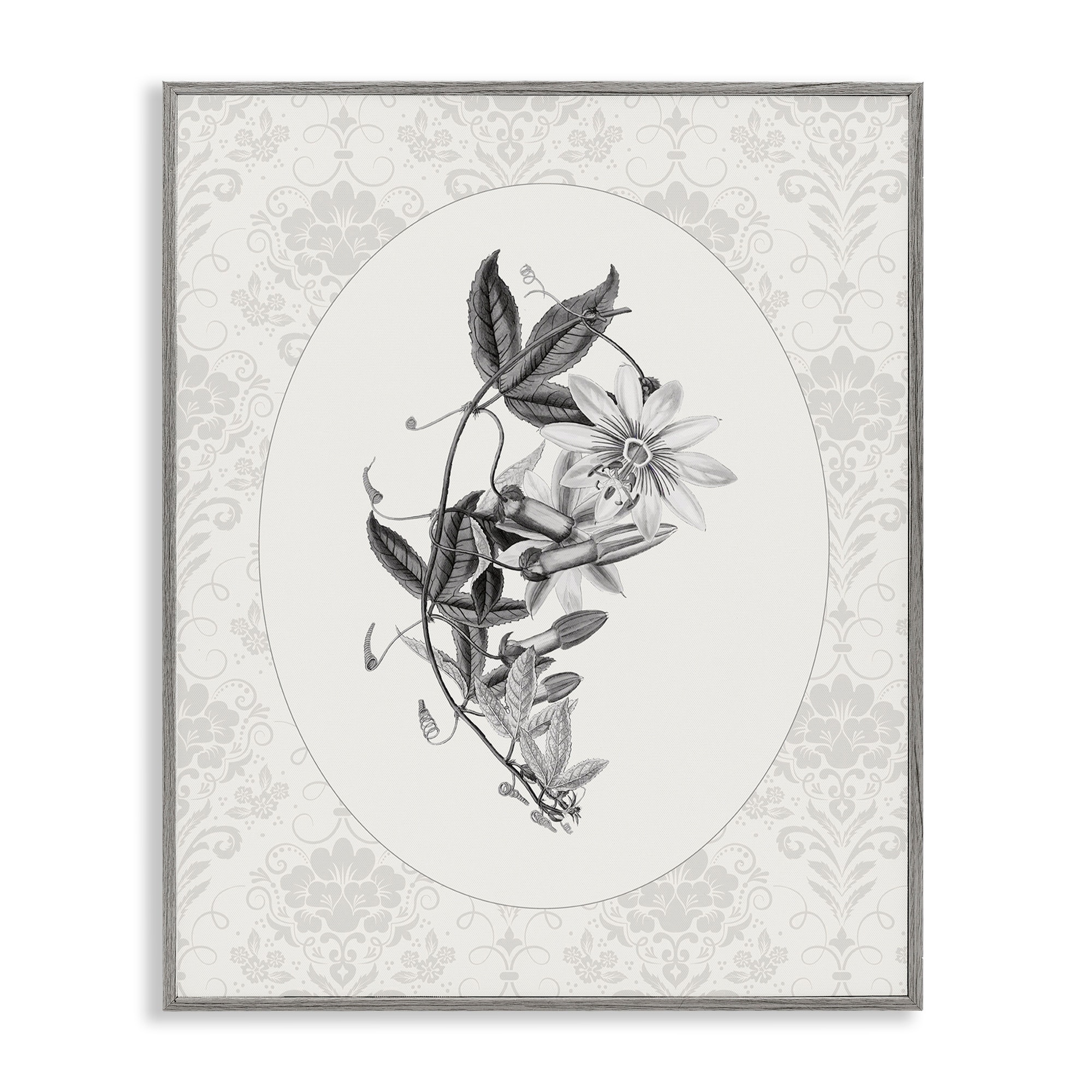 Stupell Vintage Botanical & Lace Framed Giclee Art Design By CAD Designs