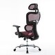 preview thumbnail 29 of 40, Ergonomic Mesh Executive Chair Home Office Chair with Lumbar Support, Headrest