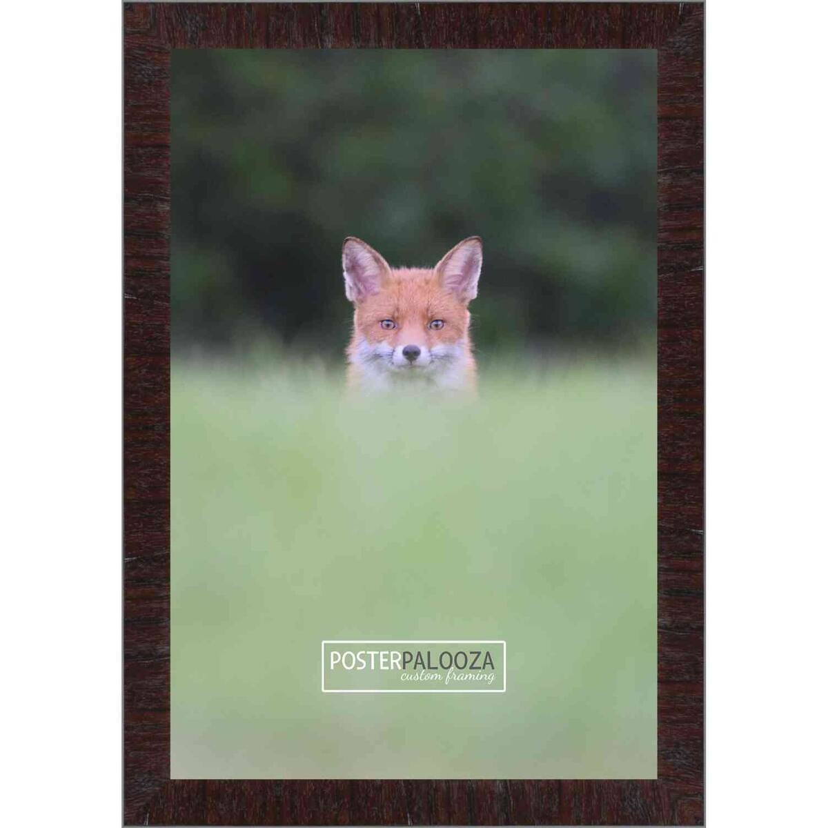 40x27 Contemporary Mahogany Wood Picture Frame with UV Acrylic, Foam