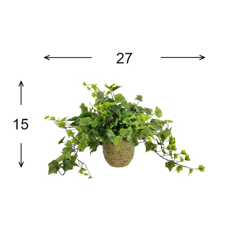 Ivy Arrangement in Rope Pot - Green