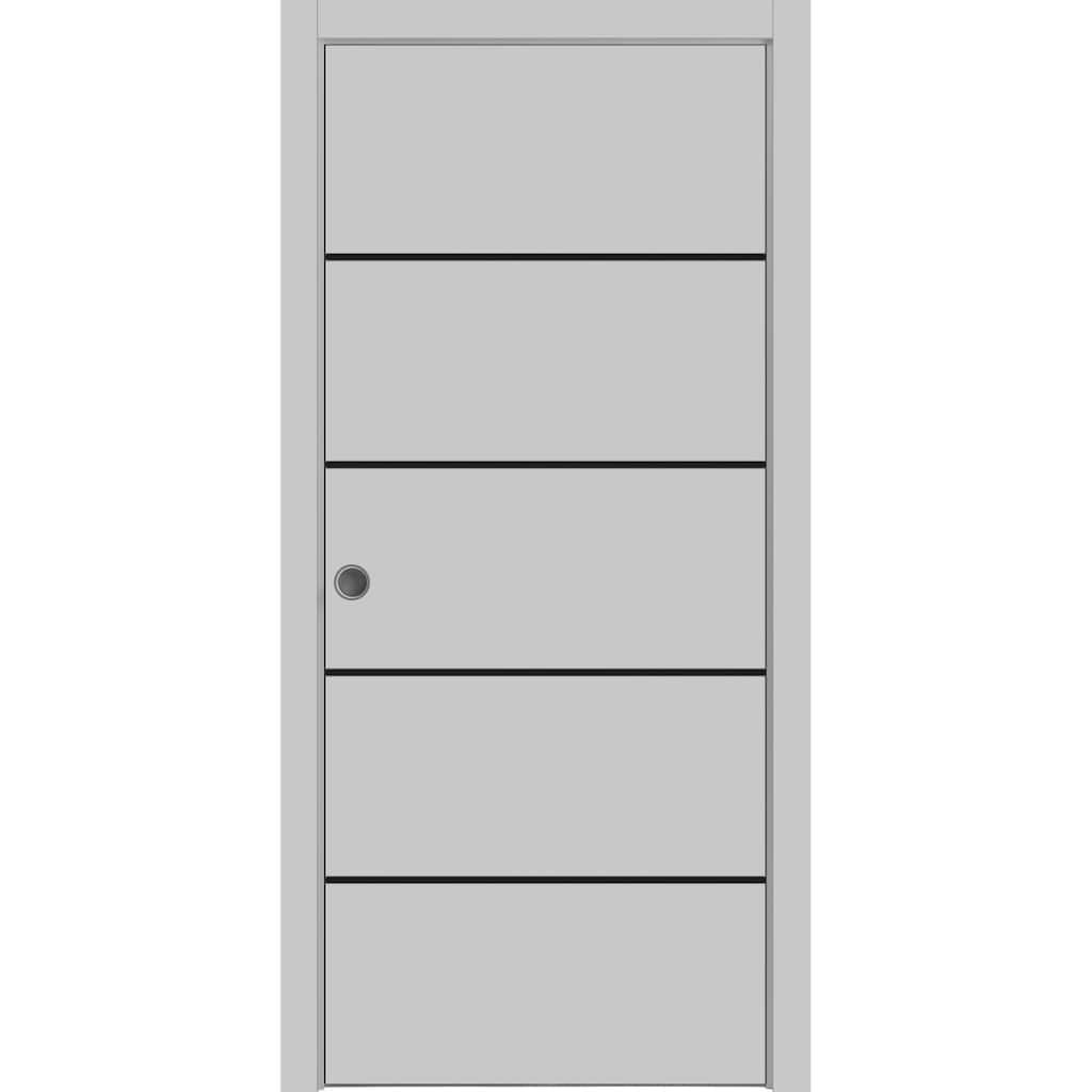 French Pocket Door 18x80 with Planum 0015 Grey Matte with Kit Trims Rail