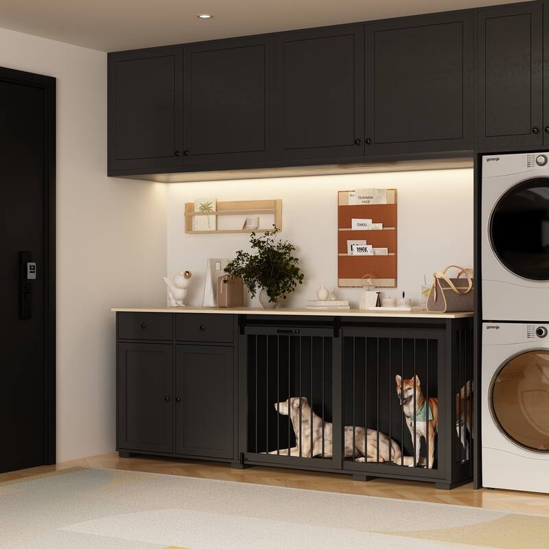 Dual-Drawer Cabinet Pet Sanctuary Contemporary Home Storage Solution