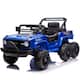 Option Blue