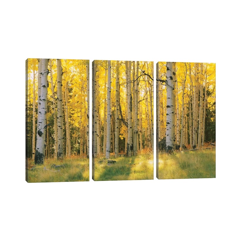 iCanvas "Aspen Trees In A Forest, Coconino National Forest, Arizona, USA" by Panoramic Images 3-Piece Canvas Wall Art Set