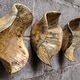 preview thumbnail 7 of 6, Uttermost Tamarine Three Piece Wall Sculpture Set