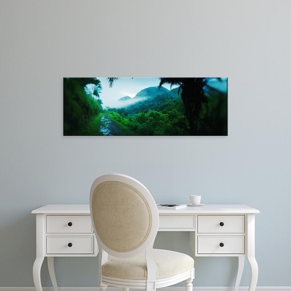 Easy Art Prints Panoramic Images's 'Path in a rainforest, Cayo District, Belize' Premium Canvas Art