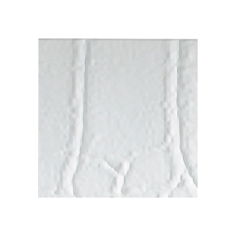 FASÄDE Cayman 4-foot x 8-foot PVC Wall Panel in Gloss White - White - Sample