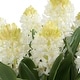 preview thumbnail 4 of 3, Uttermost Sincerity Potted Hyacinth Plant