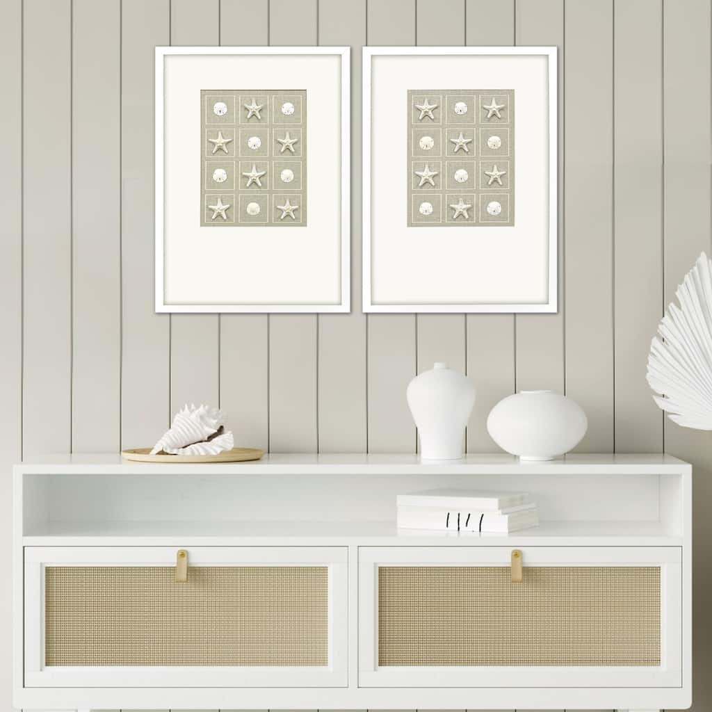 Paragon Shell Collection Framed Art - Set of 2