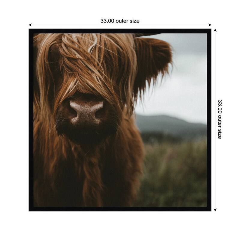 Kate and Laurel Close Up of Scottish Highland Cattle Baby SQ by Michael Schauer Framed Wall Art Print