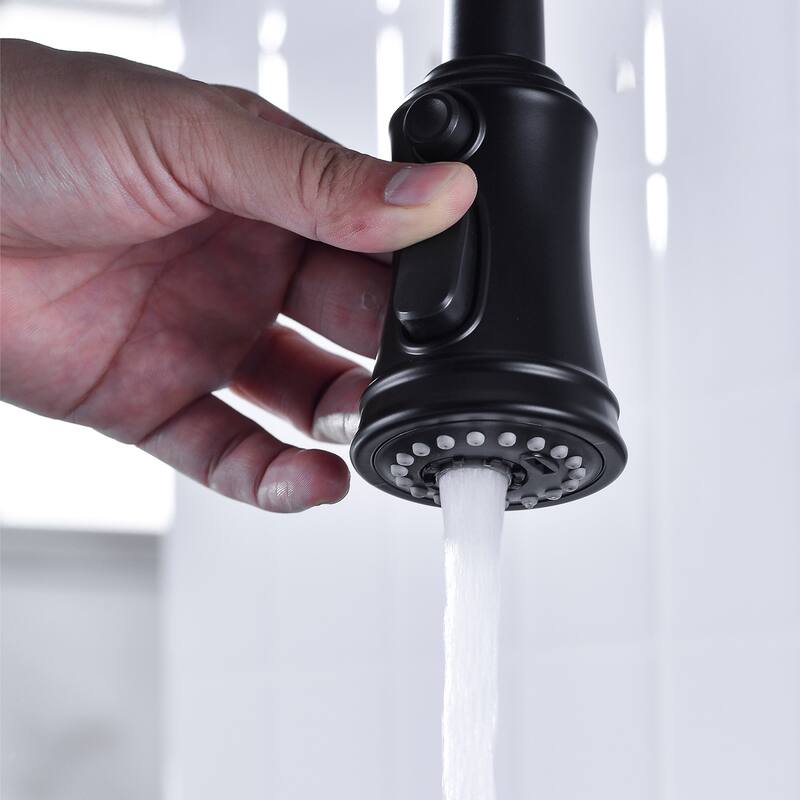 Double-Handle Bridge Kitchen Faucet with Pull-Down Sprayer
