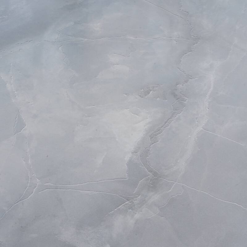 Splendor 24x48 in. Honed Porcelain Crosscut Large Wall and Floor Tile (15.5 sq ft/case, 2-Pack)