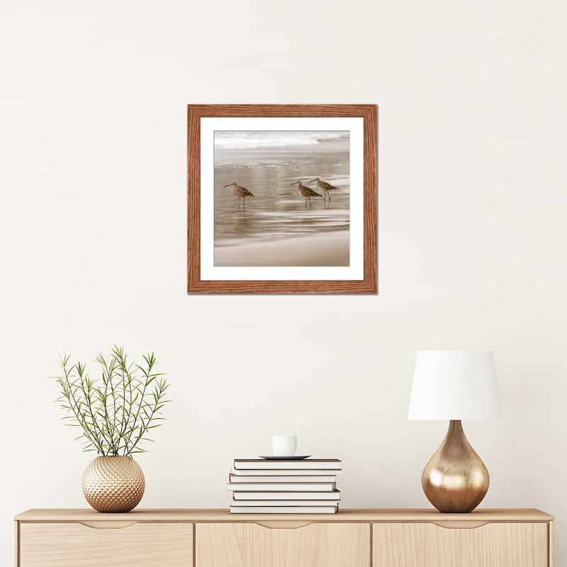 iCanvas "Shore Birds I" by Danita Delimont